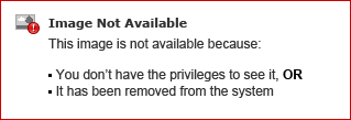 Where is it shown that my account will automatically renew?